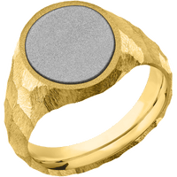 Medium Oval signet ring (16x13mm) in 18K Yellow Gold, with a Wide style band, a Platinum inlay.