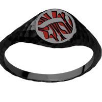 Small Circle signet ring (10mm) in Zirconium, with a Thin style band and an Escher 1 engraving.