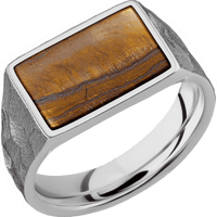 Medium Horizontal Rectangle signet ring (16x11.5mm) in Titanium, with a Wide style band, a Tigers Eye inlay.