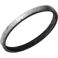 Meteorite + None Finish + Forged Carbon Fiber