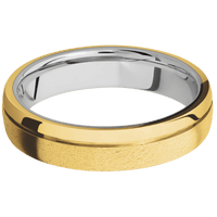 18K Yellow Gold + Stone , Polish Finish + Titanium