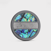 Black Titanium Golf Ball Marker with Gibeon Meteorite and Abalone Inlays