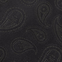 Star Wars Darth Vader Black Paisley Silk Tie