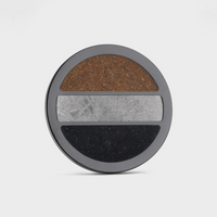 Black Titanium Golf Ball Marker with Gibeon Meteorite and Dual Dinosaur Bone Inlays