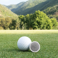 Titanium Golf Ball Marker with Gibeon Meteorite Inlay