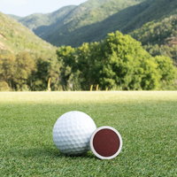 Titanium Golf Ball Marker with Coral Inlay