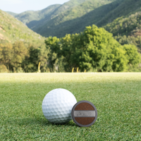 Black Titanium Golf Ball Marker with Gibeon Meteorite and Dinosaur Bone Inlays