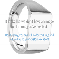Medium Horizontal Rectangle signet ring (16x11.5mm) in 10K White Gold, with a Wide style band, a Blood Stone inlay.
