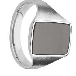 Medium Rectangle signet ring (16x11.5mm) in Palladium Silver, with a Thin style band, a Tantalum Noir inlay.
