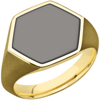 Large Hexagon signet ring (18.5x16mm) in 10K Yellow Gold, with a Thin style band, a Tantalum Noir inlay.