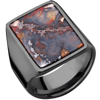 Extra Large Rectangle signet ring (24x17mm) in Zirconium, with a Wide style band, a Chrysocopper inlay.