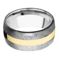 Meteorite + None Finish + Platinum