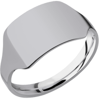 Medium Horizontal Rectangle signet ring (16x11.5mm) in Titanium, with a Cigar style band.