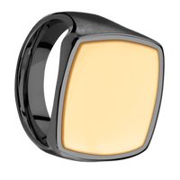 Extra Large Cushion signet ring (22x22mm) in Zirconium, with a Thin style band, a 14K Yellow Gold inlay.