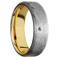 Meteorite + None Finish + 14K Yellow Gold