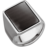 Extra Large Rectangle signet ring (24x17mm) in Titanium, with a Wide style band, a Madagascar Rose Wood inlay.