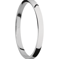 Titanium + Polish Finish