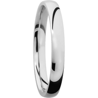 Titanium + Polish Finish