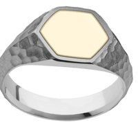 Medium Hexagon signet ring (13.9x12mm) in Titanium, with a Wide style band, a 14K Yellow Gold inlay.