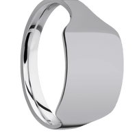 Medium Horizontal Rectangle signet ring (16x11.5mm) in Titanium, with a Cigar style band.