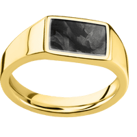 Small Horizontal Rectangle signet ring (12x9mm) in 14K Yellow Gold, with a Wide style band, a Forged Carbon Fiber inlay.