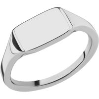 Small Horizontal Rectangle signet ring (12x9mm) in Titanium, with a Thin style band.