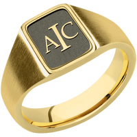Small Rectangle signet ring (12x9mm) in 10K Yellow Gold, with a Wide style band and a Book Antiqua 3 Rev engraving.