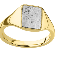 Small Rectangle signet ring (12x9mm) in 10K Yellow Gold, with a Thin style band, a Meteorite inlay.