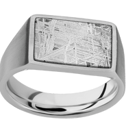 Medium Horizontal Rectangle signet ring (16x11.5mm) in Titanium, with a Wide style band, a Meteorite inlay.