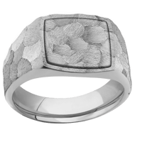Medium Cushion signet ring (14x14mm) in Titanium, with a Wide style band, a Titanium inlay.