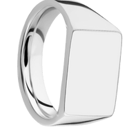 Medium Horizontal Rectangle signet ring (16x11.5mm) in 14K White Gold, with a Wide style band.