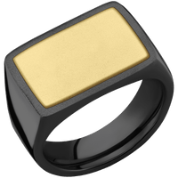 Large Horizontal Rectangle signet ring (20x14.5mm) in Zirconium, with a Wide style band, a 14K Yellow Gold inlay.
