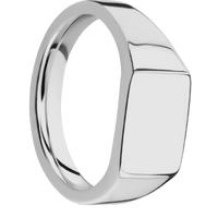 Small Horizontal Rectangle signet ring (12x9mm) in Titanium, with a Wide style band.