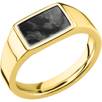 Small Horizontal Rectangle signet ring (12x9mm) in 14K Yellow Gold, with a Wide style band, a Forged Carbon Fiber inlay.