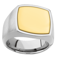 Large Cushion signet ring (18x18mm) in Titanium, with a Wide style band, a 14K Yellow Gold inlay.
