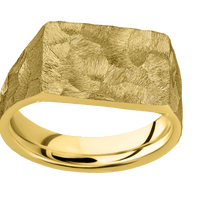 Medium Horizontal Rectangle signet ring (16x11.5mm) in 14K Yellow Gold, with a Wide style band.