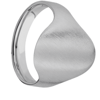 Large Oval signet ring (20x16mm) in Titanium, with a Cigar style band.