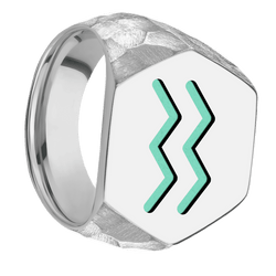 Extra Large Hexagon signet ring (23x20mm) in 18K White Gold, with a Wide style band and an Aquarius engraving.
