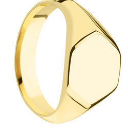 Medium Hexagon signet ring (13.9x12mm) in 10K Yellow Gold, with a Wide style band.