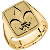 Large Rectangle signet ring (20x14.5mm) in 10K Yellow Gold, with a Thin style band, a 14K Yellow Gold inlay and a Fleur De Lis engraving.