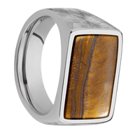 Large Horizontal Rectangle signet ring (20x14.5mm) in Titanium, with a Wide style band, a Tigers Eye inlay.