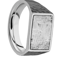 Medium Horizontal Rectangle signet ring (16x11.5mm) in Titanium, with a Wide style band, a Meteorite inlay.