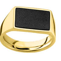 Medium Horizontal Rectangle signet ring (16x11.5mm) in 10K Yellow Gold, with a Wide style band, a Zirconium inlay.