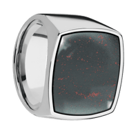 Extra Large Cushion signet ring (22x22mm) in Titanium, with a Wide style band, a Blood Stone inlay.
