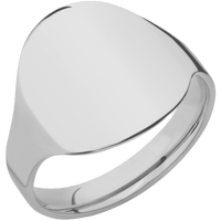 Large Circle signet ring (18mm) in Titanium, with a Cigar style band.