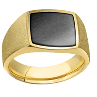 Medium Cushion signet ring (14x14mm) in 14K Yellow Gold, with a Wide style band, a Zirconium inlay.