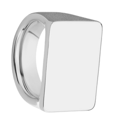 Extra Large Horizontal Rectangle signet ring  in Platinum, with a Wide style band.