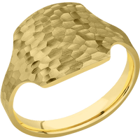 Medium Cushion signet ring (14x14mm) in 14K Yellow Gold, with a Cigar style band.