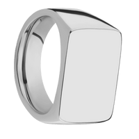 Large Horizontal Rectangle signet ring (20x14.5mm) in Titanium, with a Wide style band.