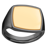 Large Cushion signet ring (18x18mm) in Zirconium, with a Thin style band, a 14K Yellow Gold inlay.